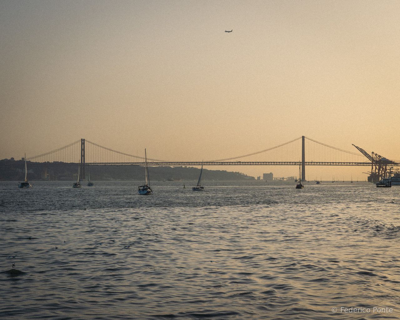 DSC03140