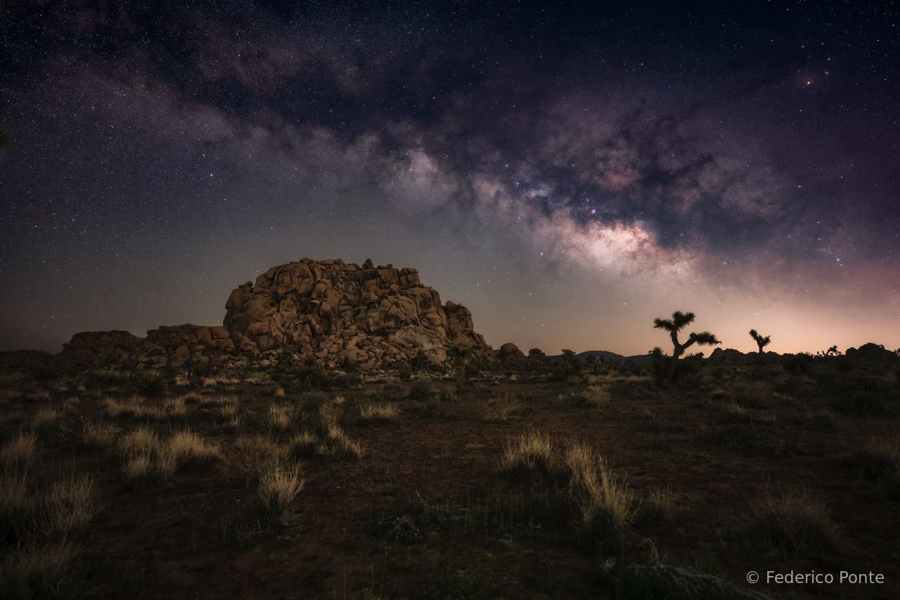 Joshua tree 6