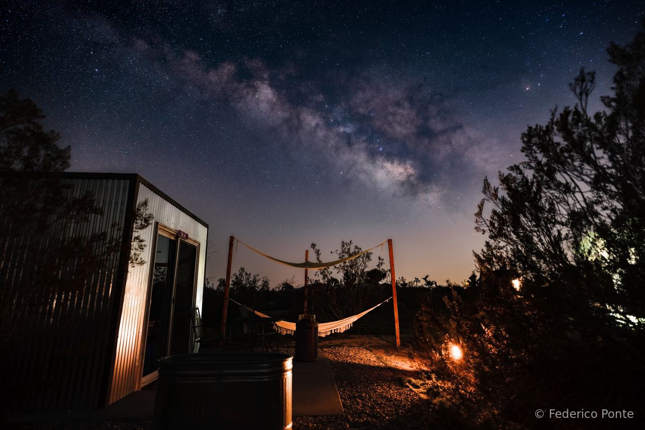 Joshua tree 8